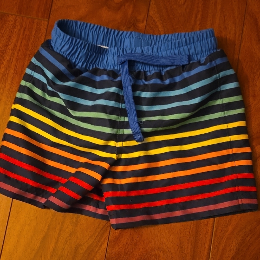 Primary Rainbow Swim Shorts